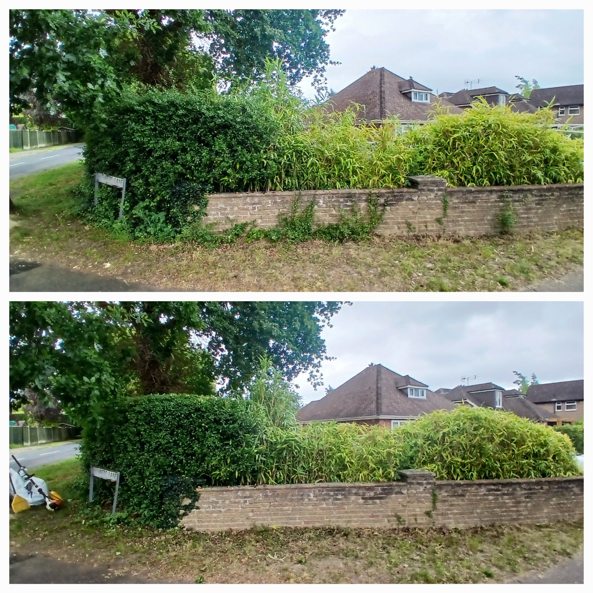 Long roadside hedge before and after