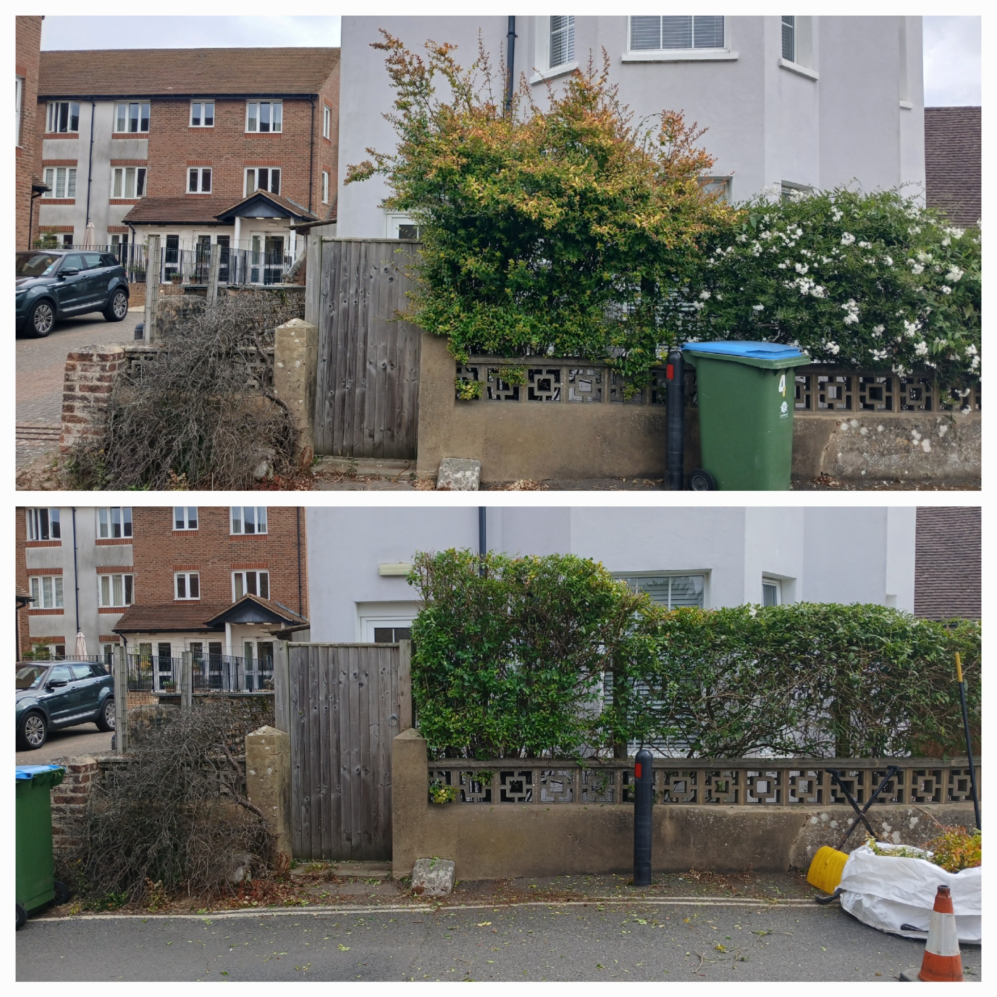 Frontage shrubs reduced and tidied