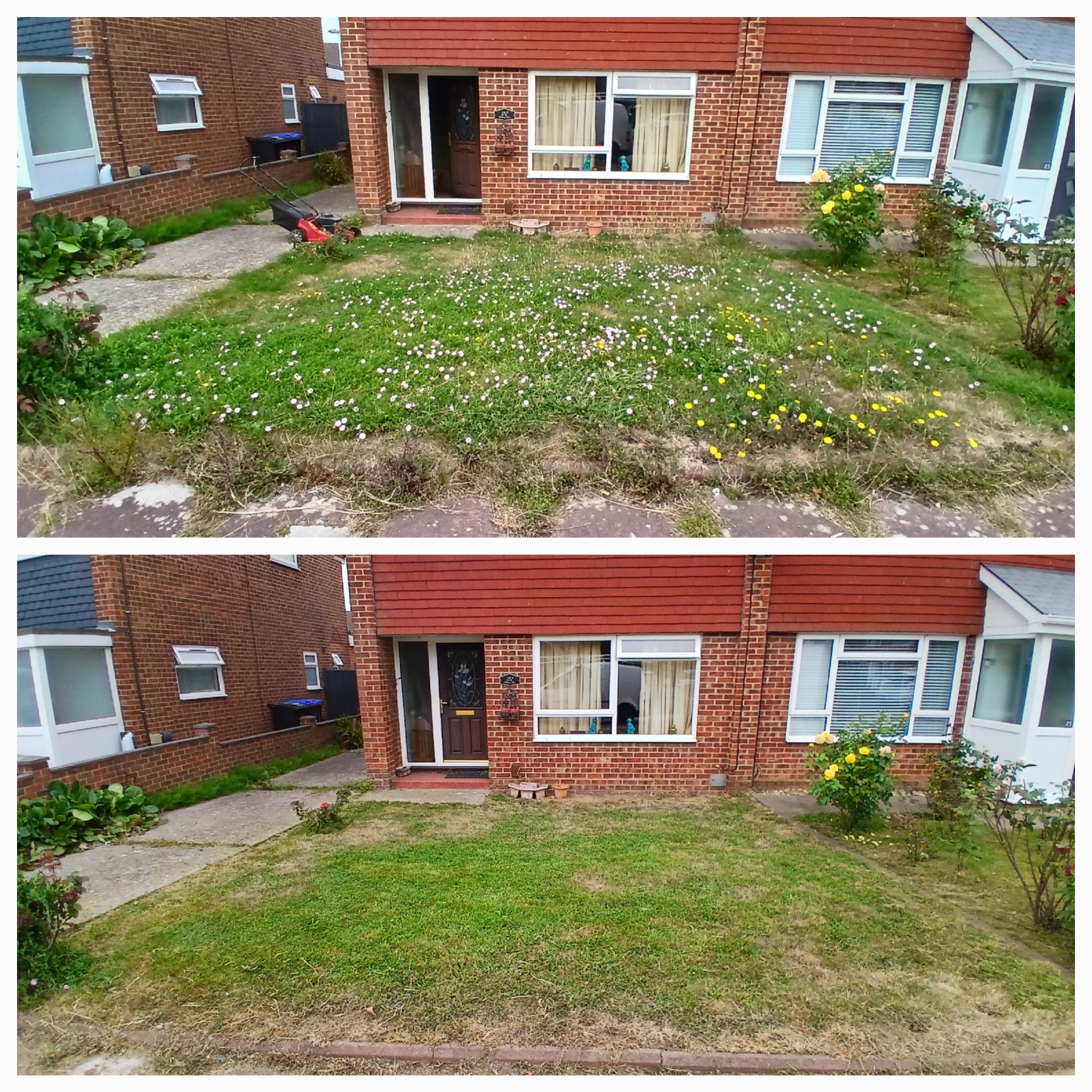 Lawn tidy-up before and after