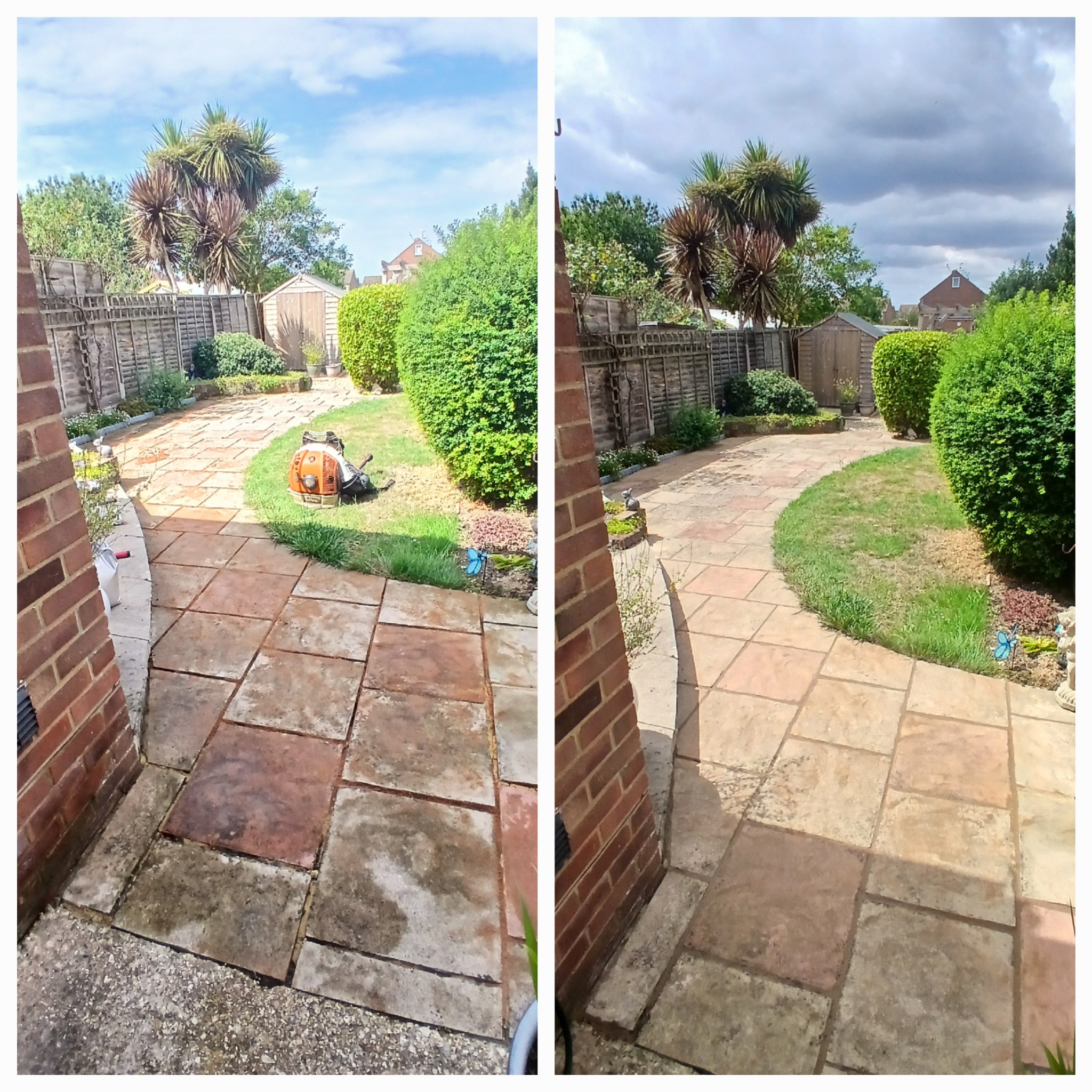 Overgrown garden area cleared back to open ground