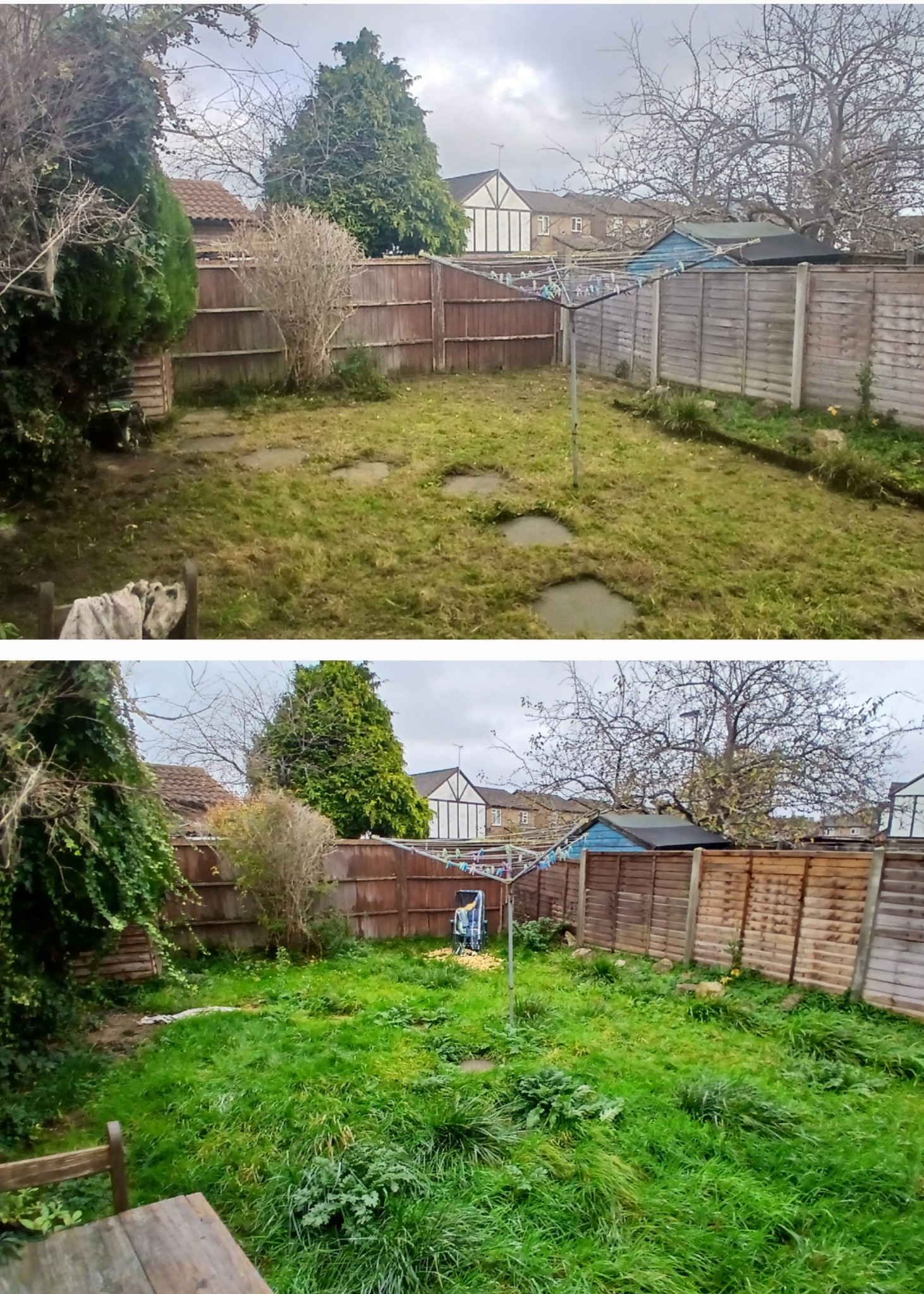 Front garden and hedge transformation before and after